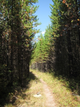 Hidden Meadow Trail
