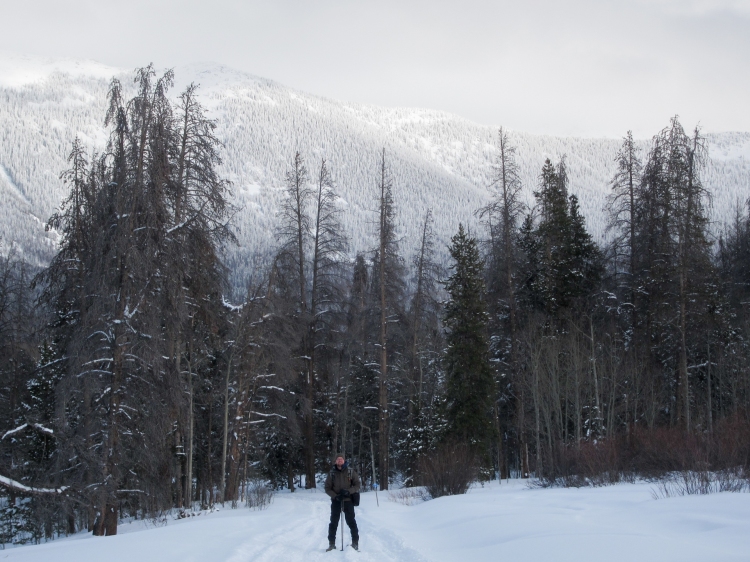 Snowshoeing to North Fork Canadian yurt